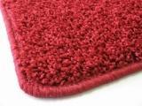 Vloerkleed ruby karpet 170x230 bruin