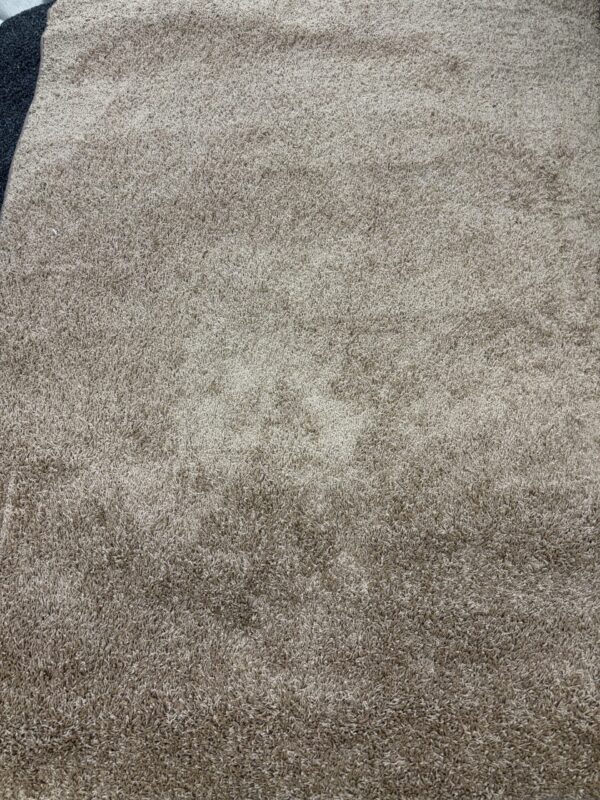 (g)Karpet Bruin/Liver Shaggy 170 x 230 cm van € 89,95 voor € 49-, - Afbeelding 5