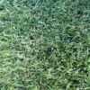(v)Kunstgras Wimbledon 25 mm van € 24,95 voor € 9,95 p/m2 - Afbeelding 3