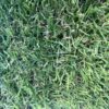 (v)Kunstgras Wimbledon 25 mm van € 24,95 voor € 9,95 p/m2