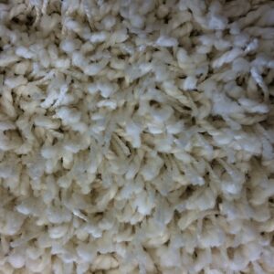 ( g)Vloerkleed Ruby Highline karpet Rond Diameter 200 cm Hoogpolig kleur: Ivoor