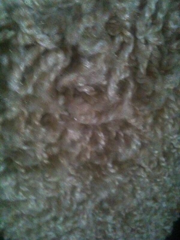 Loper 100 x 170 cm hoogpolig € 17,50 - Afbeelding 3