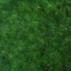 (v)Kunstgras  grastapijt zware kwaliteit met noppen. € 6 p/m2 rol 200 cm breed