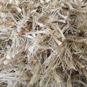 (n)Brinker Hawai / Peace Ivory/mix 90 x 240 cm van € 298-, voor € 125-, Prachtige loper